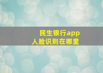 民生银行app人脸识别在哪里