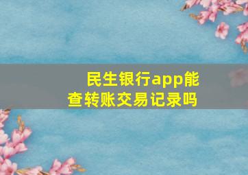 民生银行app能查转账交易记录吗