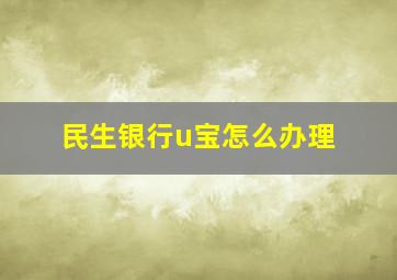 民生银行u宝怎么办理