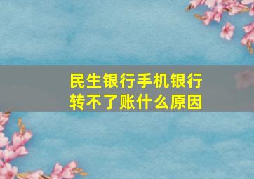 民生银行手机银行转不了账什么原因