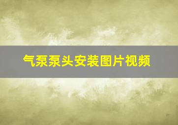 气泵泵头安装图片视频