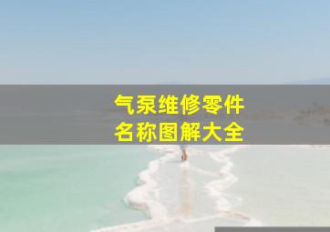 气泵维修零件名称图解大全