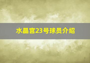 水晶宫23号球员介绍