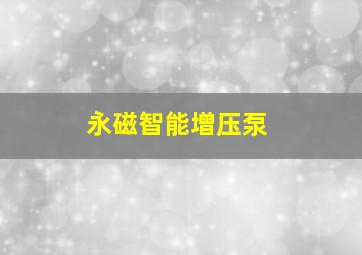 永磁智能增压泵