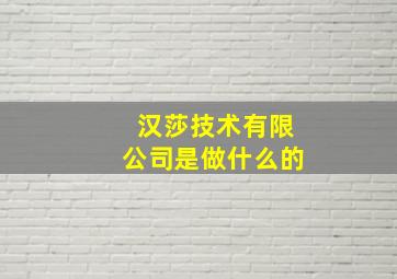 汉莎技术有限公司是做什么的