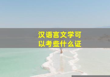 汉语言文学可以考些什么证