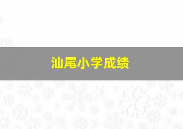 汕尾小学成绩