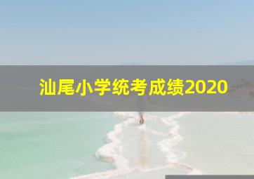 汕尾小学统考成绩2020