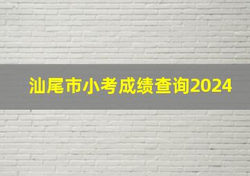 汕尾市小考成绩查询2024