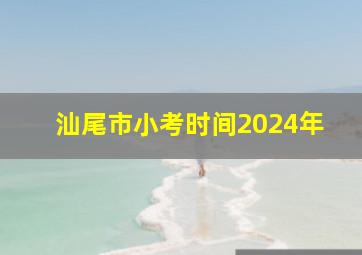 汕尾市小考时间2024年