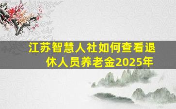 江苏智慧人社如何查看退休人员养老金2025年