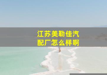 江苏美勒佳汽配厂怎么样啊