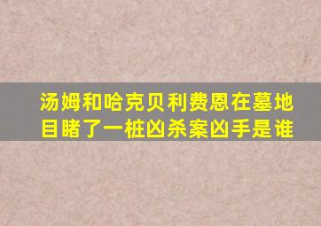 汤姆和哈克贝利费恩在墓地目睹了一桩凶杀案凶手是谁