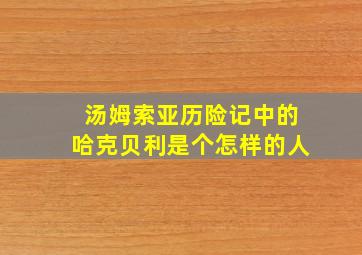 汤姆索亚历险记中的哈克贝利是个怎样的人