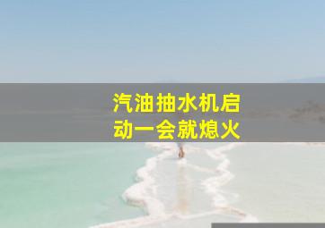 汽油抽水机启动一会就熄火