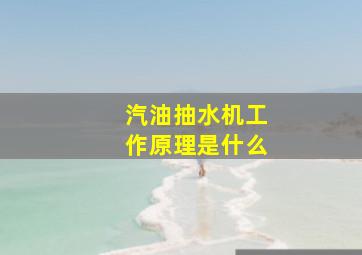 汽油抽水机工作原理是什么