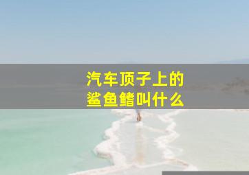 汽车顶子上的鲨鱼鳍叫什么