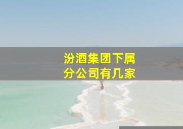 汾酒集团下属分公司有几家