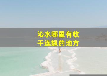 沁水哪里有收干连翘的地方