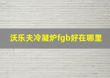 沃乐夫冷凝炉fgb好在哪里