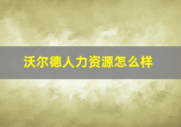 沃尔德人力资源怎么样