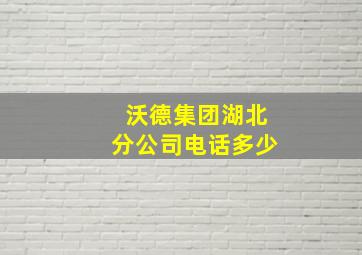 沃德集团湖北分公司电话多少