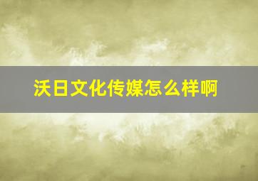 沃日文化传媒怎么样啊