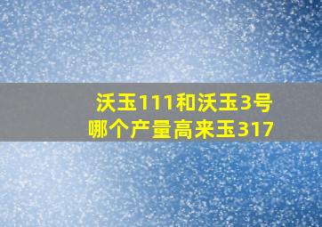 沃玉111和沃玉3号哪个产量高来玉317