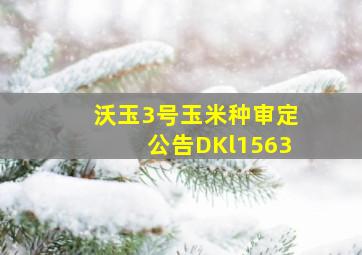 沃玉3号玉米种审定公告DKl1563