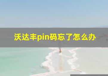 沃达丰pin码忘了怎么办