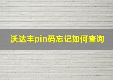 沃达丰pin码忘记如何查询