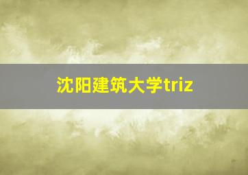 沈阳建筑大学triz