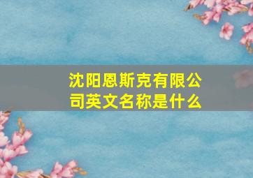 沈阳恩斯克有限公司英文名称是什么