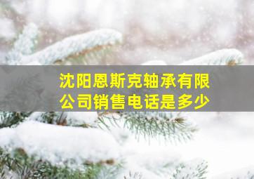 沈阳恩斯克轴承有限公司销售电话是多少