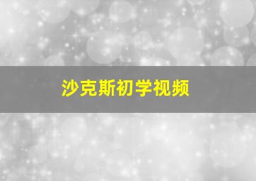 沙克斯初学视频