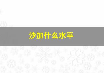 沙加什么水平