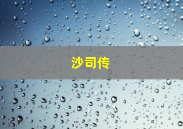 沙司传