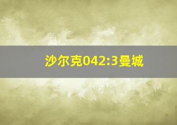 沙尔克042:3曼城