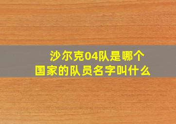 沙尔克04队是哪个国家的队员名字叫什么