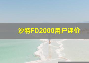 沙特FD2000用户评价