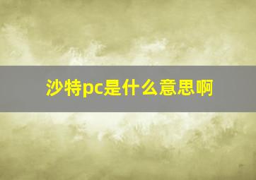 沙特pc是什么意思啊