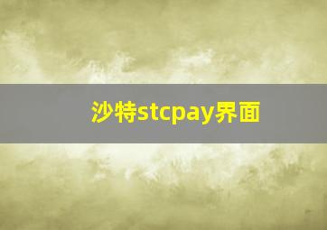 沙特stcpay界面