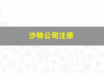 沙特公司注册