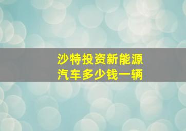 沙特投资新能源汽车多少钱一辆