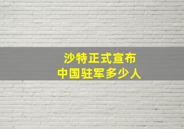 沙特正式宣布中国驻军多少人