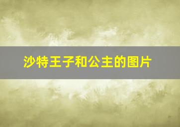 沙特王子和公主的图片