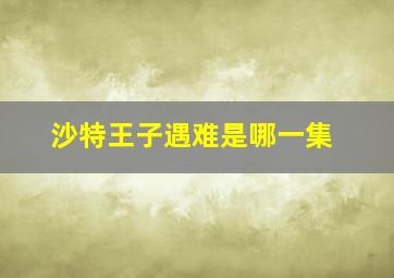 沙特王子遇难是哪一集