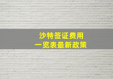 沙特签证费用一览表最新政策