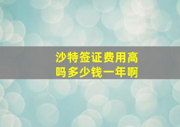 沙特签证费用高吗多少钱一年啊