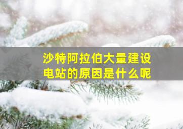 沙特阿拉伯大量建设电站的原因是什么呢